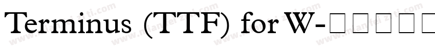 Terminus (TTF) for W字体转换